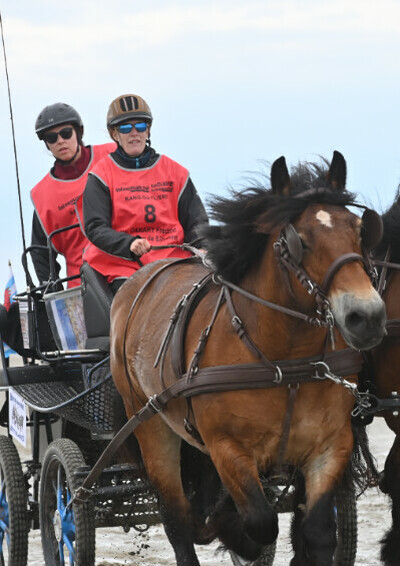 Marathon d'attelage