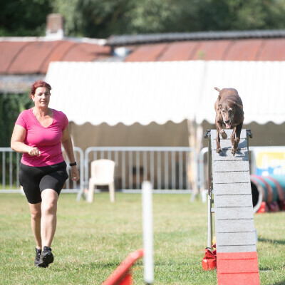 Concours d'agility du club canin Tchiens Berckois