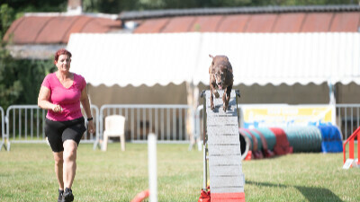 Concours d'agility du club canin Tchiens Berckois