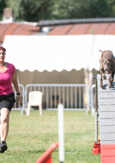 Concours d'agility du club canin Tchiens Berckois