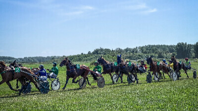 Courses hippiques