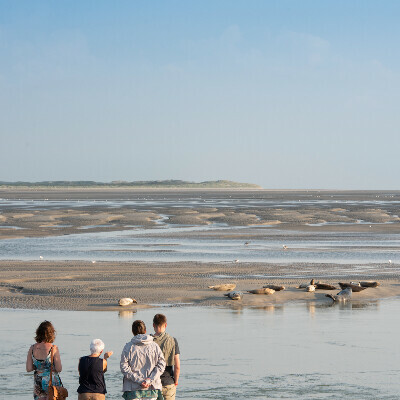 Escapade en baie d'authie