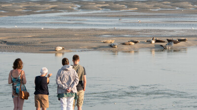 Escapade en baie d'authie