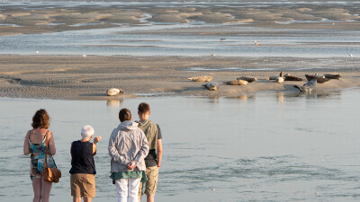 Escapade en baie d'authie