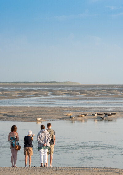 Escapade en baie d'authie