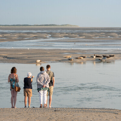 Escapade en baie d'authie