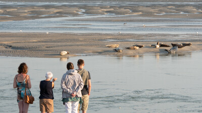 Escapade en baie d'authie