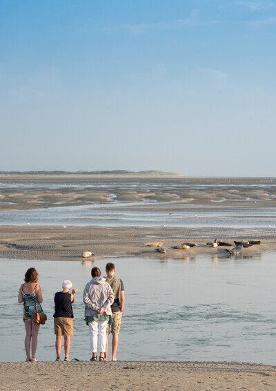 Escapade en baie d'authie
