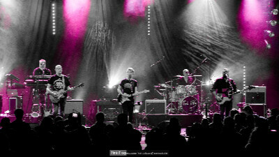 Concert tribute : Pink Frog