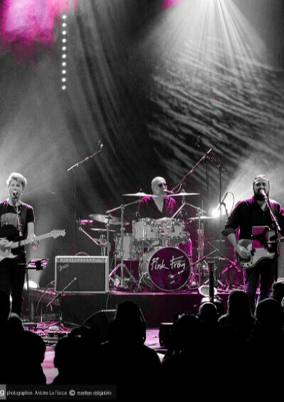 Concert tribute : Pink Frog