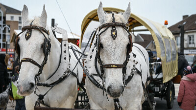 Calèche, poneys et déambulation du Père Noël