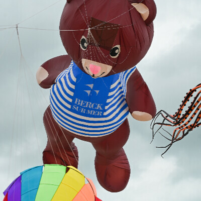 Animation Cerfs-Volants : journée découverte en famille