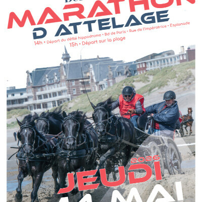 Marathon d'attelage