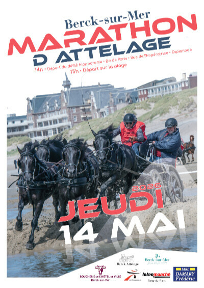 Marathon d'attelage