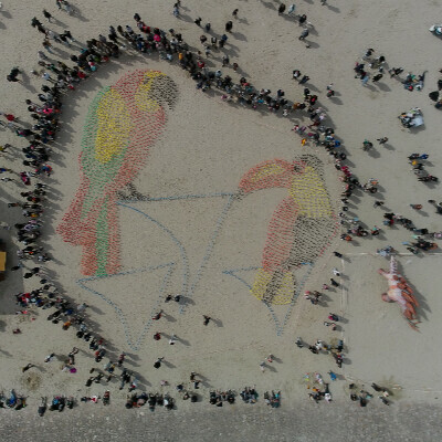 RICV : La fresque géante participative