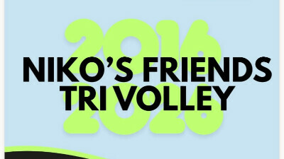 Niko's Friends Tri Volley