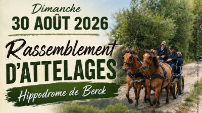Rassemblement d'attelage